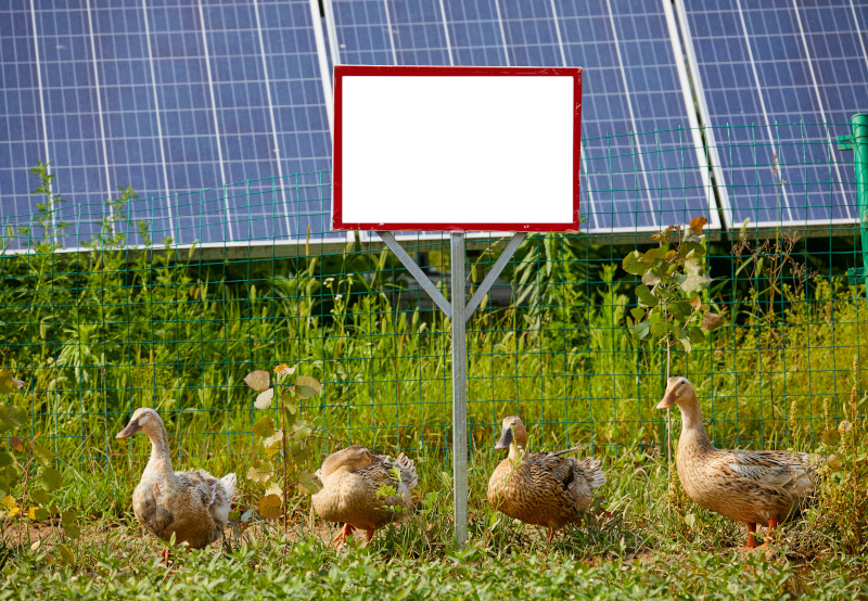 Photovoltaik darf mit Auslaufflächen kombiniert werden